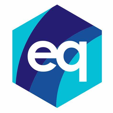 Partner EQ System