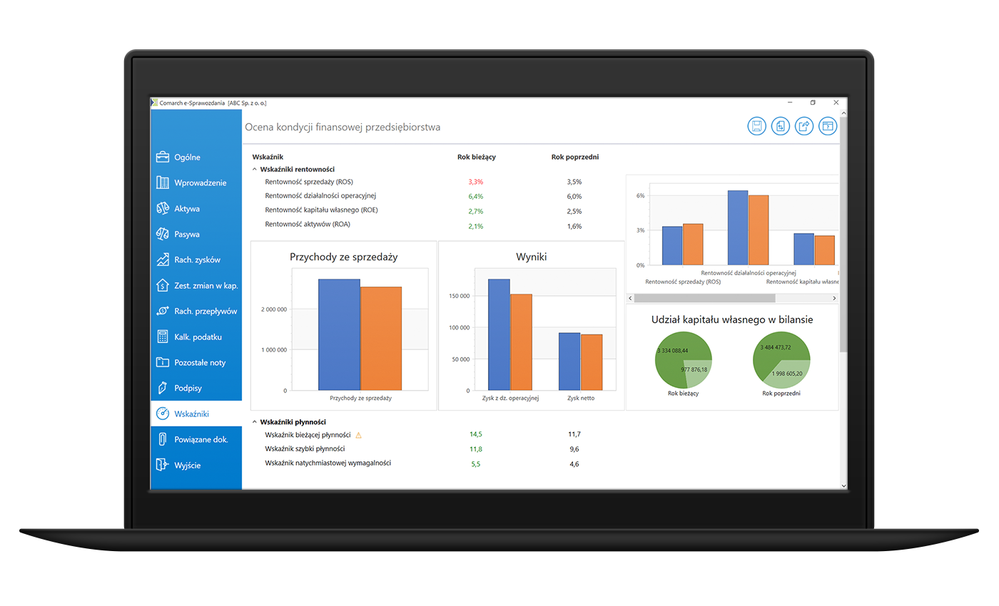 Comarch e-Sprawozdania